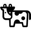 Asset Icon