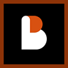 Asset Icon