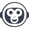 Asset Icon