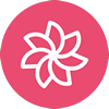 Asset Icon