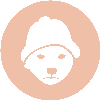 Asset Icon