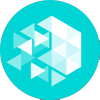 Asset Icon