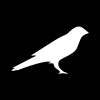 Asset Icon