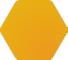 Asset Icon