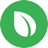 Asset Icon