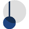 Asset Icon
