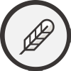Asset Icon