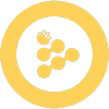 Asset Icon