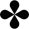 Asset Icon