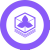 Asset Icon