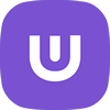 Asset Icon