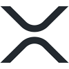 Asset Icon